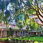 Sorrento Sole Mare - By The Apartment *